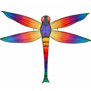 Dragonfly sárkány