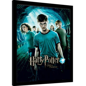 Harry Potter (ORDER OF THE PHOENIX) keretezett poszter