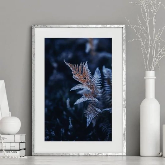 Kék árnyalatú, természeti, páfrány motívumú poszter