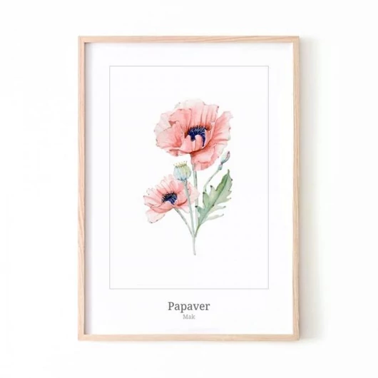 Fehér poszter, pipacs motívummal