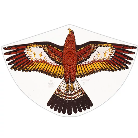 Sas mintás sárkányrepülő