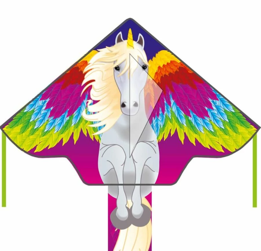 Simple Flyer Pegasus 120 cm sárkány