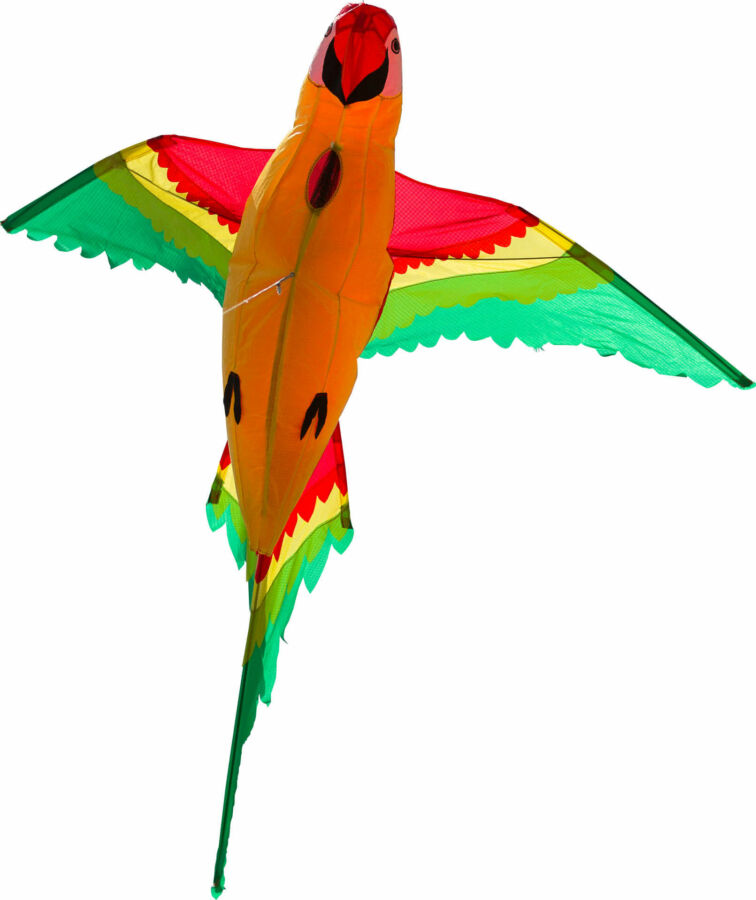 Invento Parrot 3D sárkány