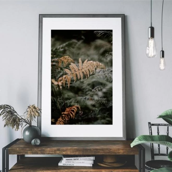 Természeti témájú poszter, páfrány motívummal