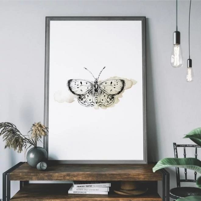 Fehér plakát, pillangó motívummal
