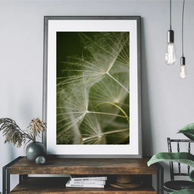 Természeti témájú poszter, pitypang motívummal