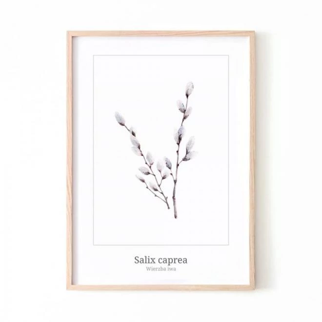 Fehér, barka motívumú poszter