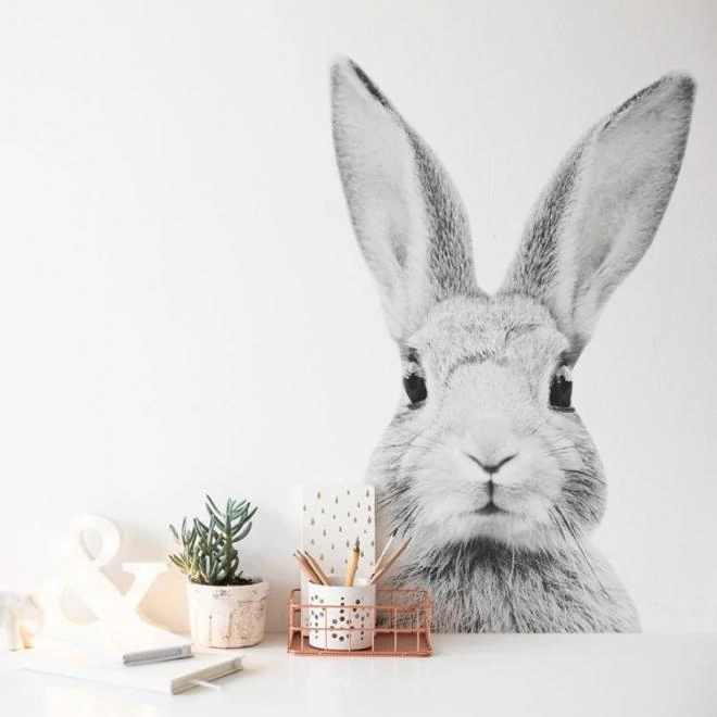 Fekete-fehér matrica, nyúl motívummal