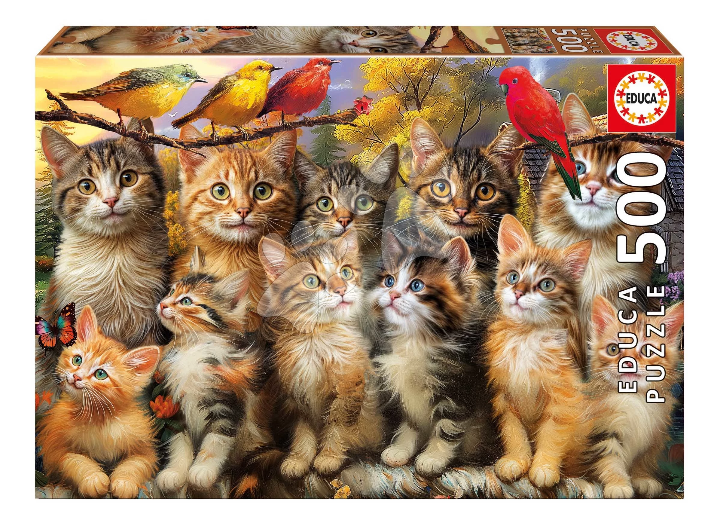 Puzzle Kittens and Birds Educa 500 dielov a Fix lepidlo od 11 rokov EDU20241