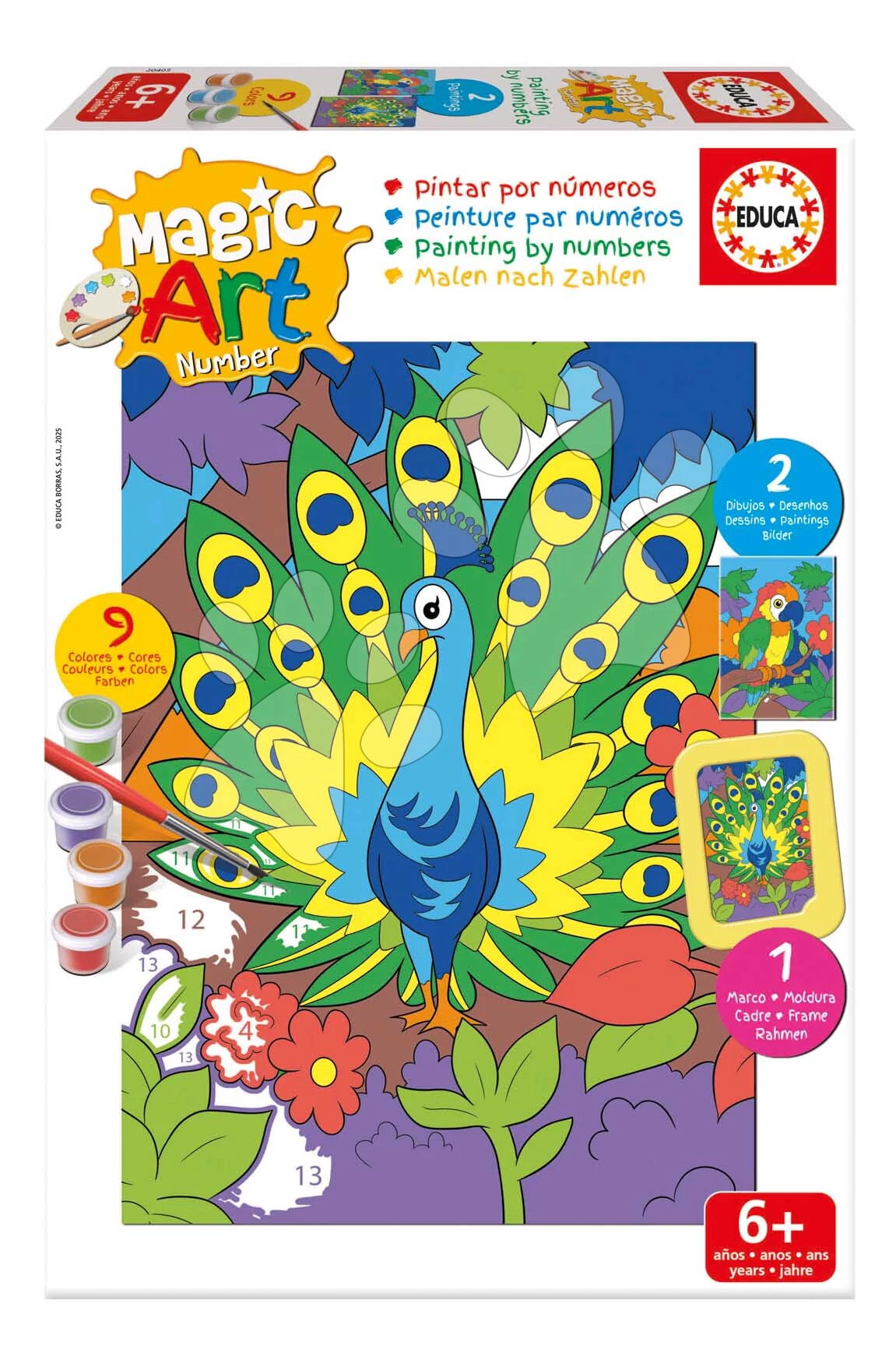 Festés számok szerint Papagáj és páva Magic Art Number Peacock & Parrot Educa 2 kép kerettel és 9 szín ecsettel és palettával 6 évtől