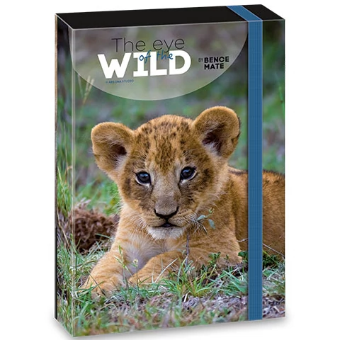 Ars Una: Máté Bence The Eyes of the Wild - Oroszlán füzetbox A/4