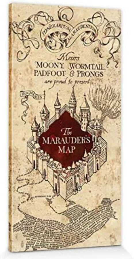 Harry Potter (Marauders map) maxi poszter